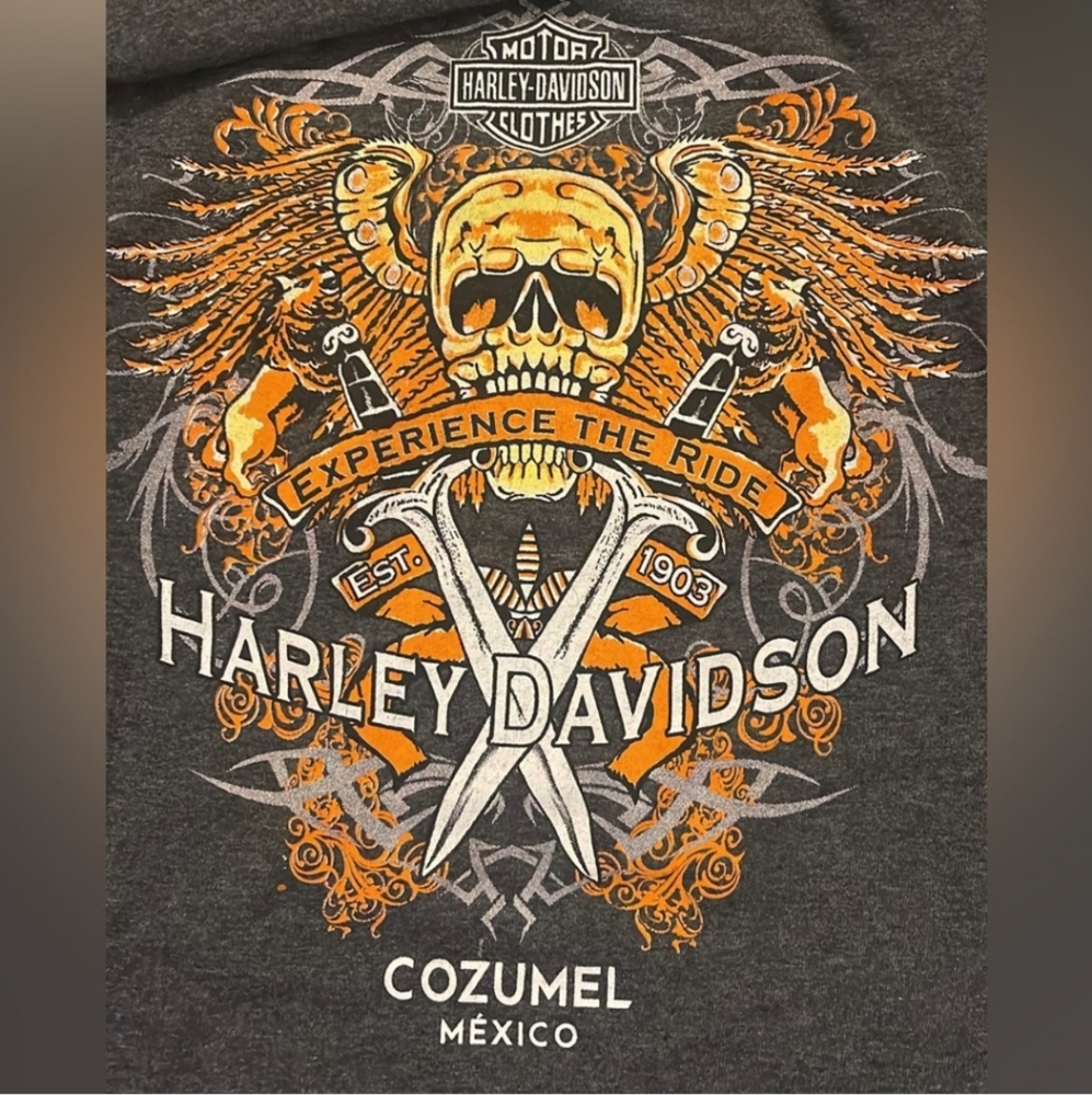 Harley-Davidson Gray T-Shirt XXL